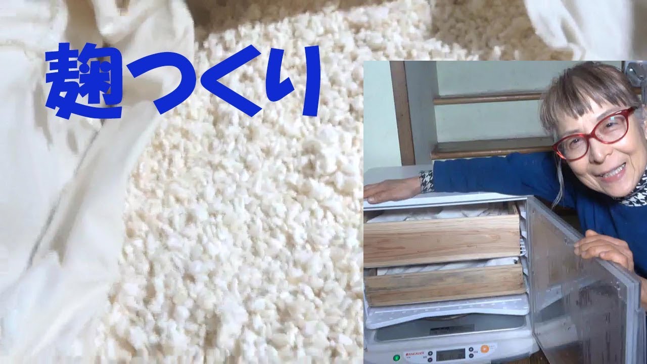 米こうじ　糀　48時間の記録です