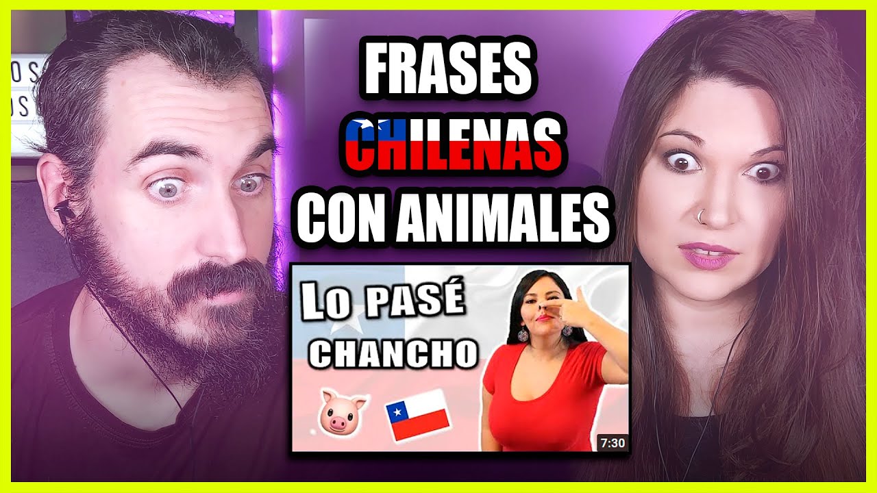 👉 FRASES CHILENAS con ANIMALES [Aprender Español Chileno] | Somos Curiosos