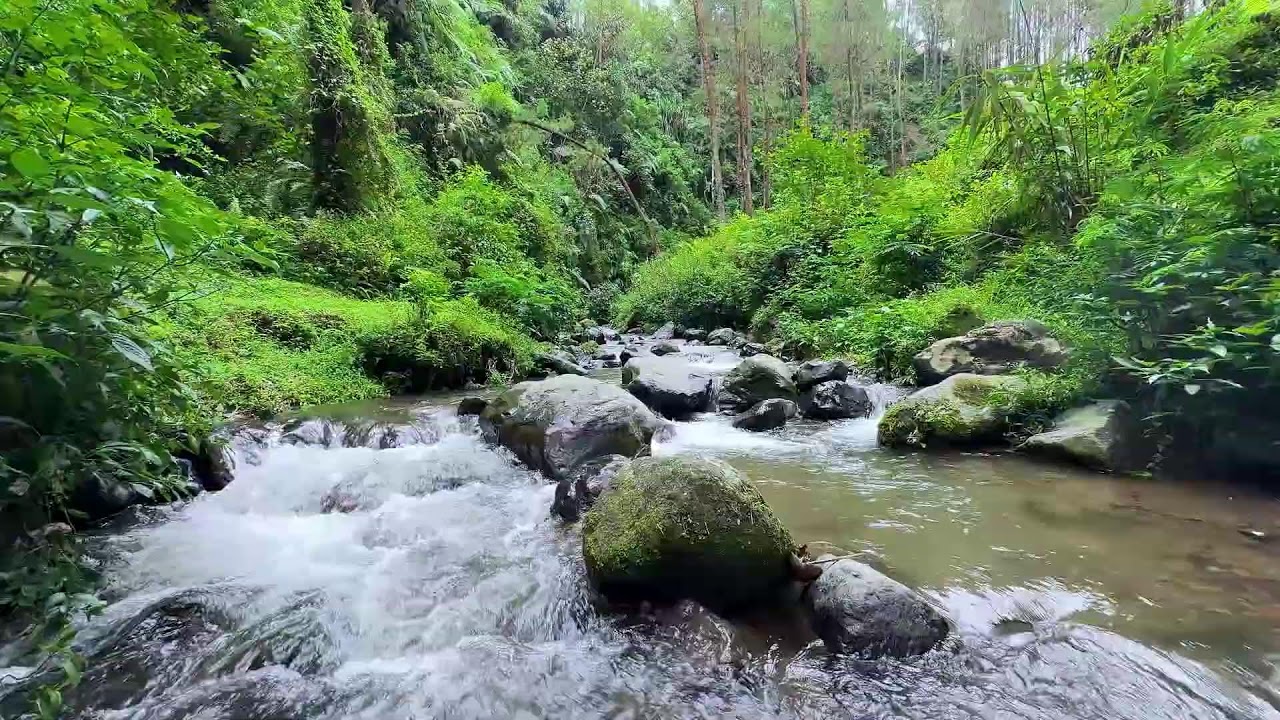 Keep anxiety low with peaceful river ambience around soft water promoting deep rest nightly