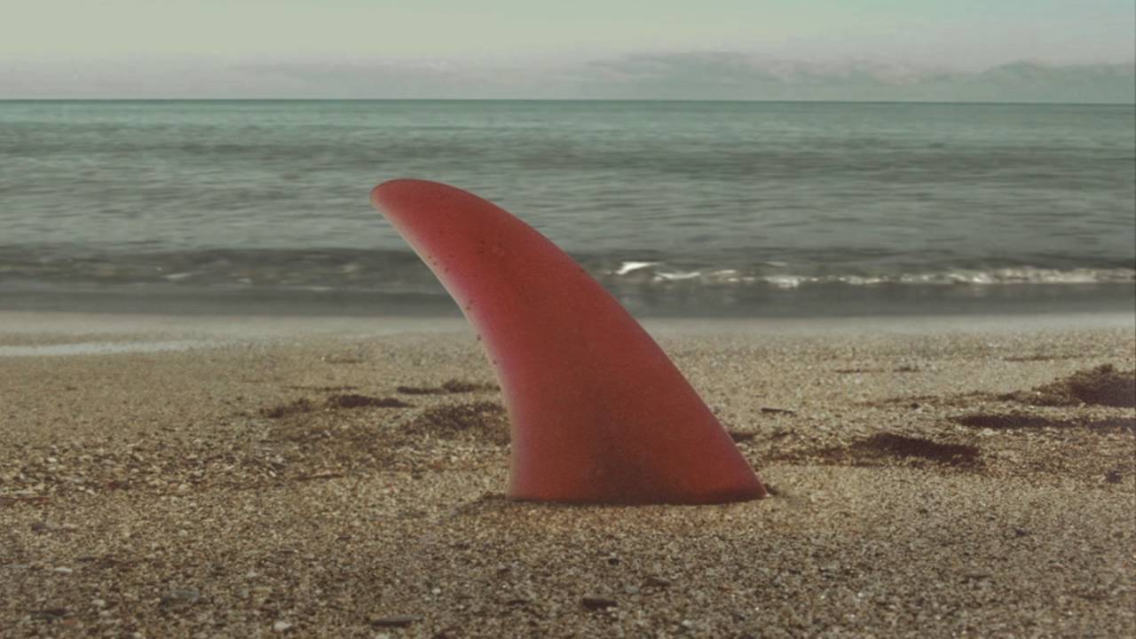 Selim Saraçoğlu - L.O.D.