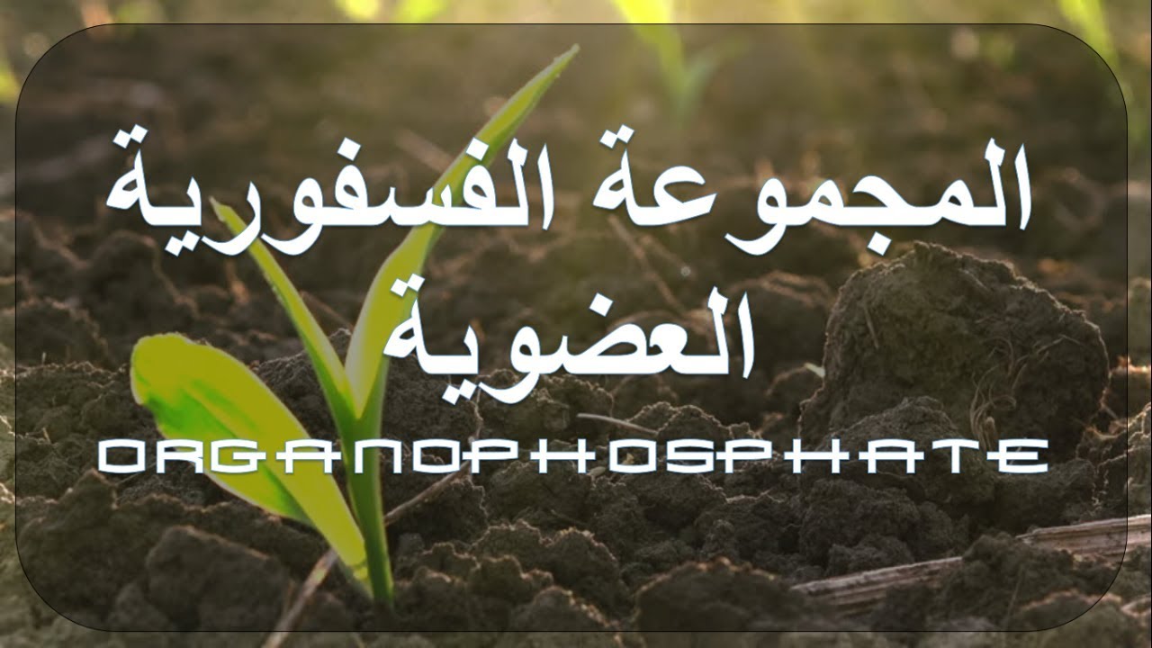 دورة المبيدات الزراعية المجموعات الحشرية المجموعة الفوسفورية العضوية