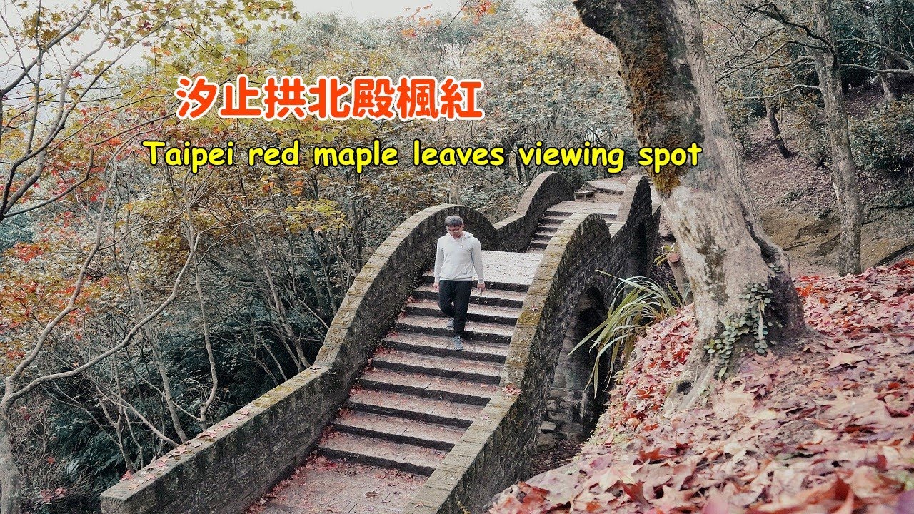 汐止拱北殿楓葉紅了嗎？教你搭公車到台北少有賞楓景點(影片中F908路線更名為587公車)