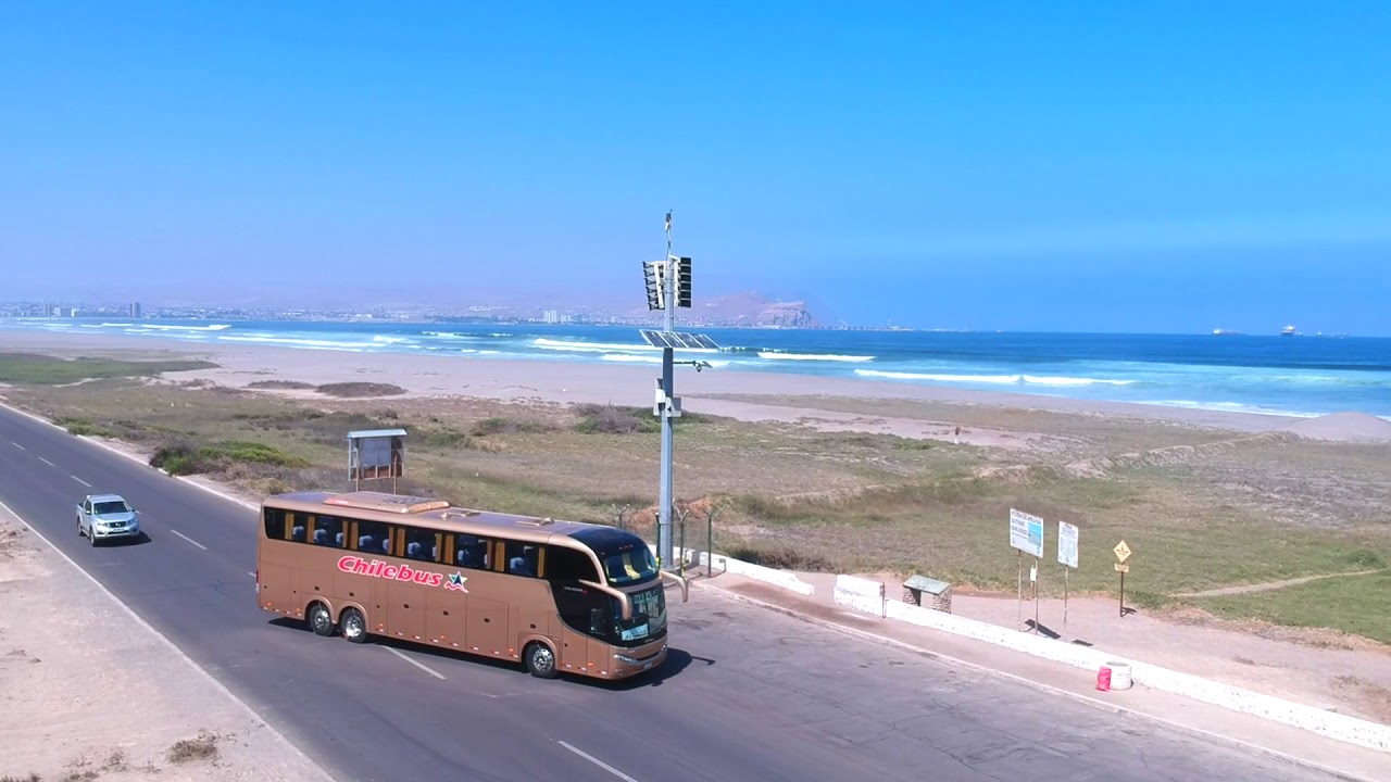 Chilebus Humedal Reserva Natural