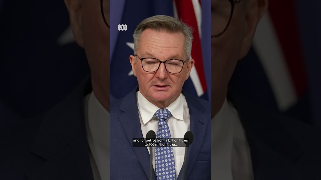 Government announces release of reserve fuel to combat shortages | ABC NEWS