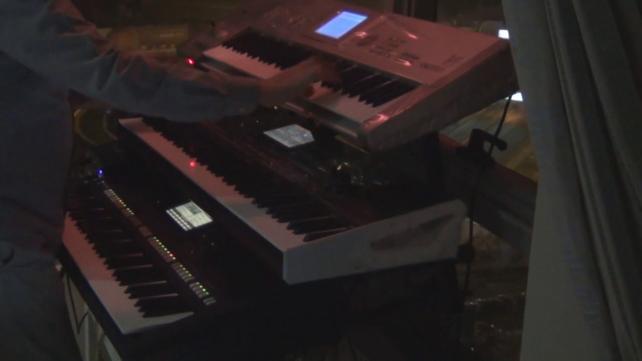 حلوة يا بلدي للفنانة داليدا عزف باسم مكارم(cover by bassem mkarem)