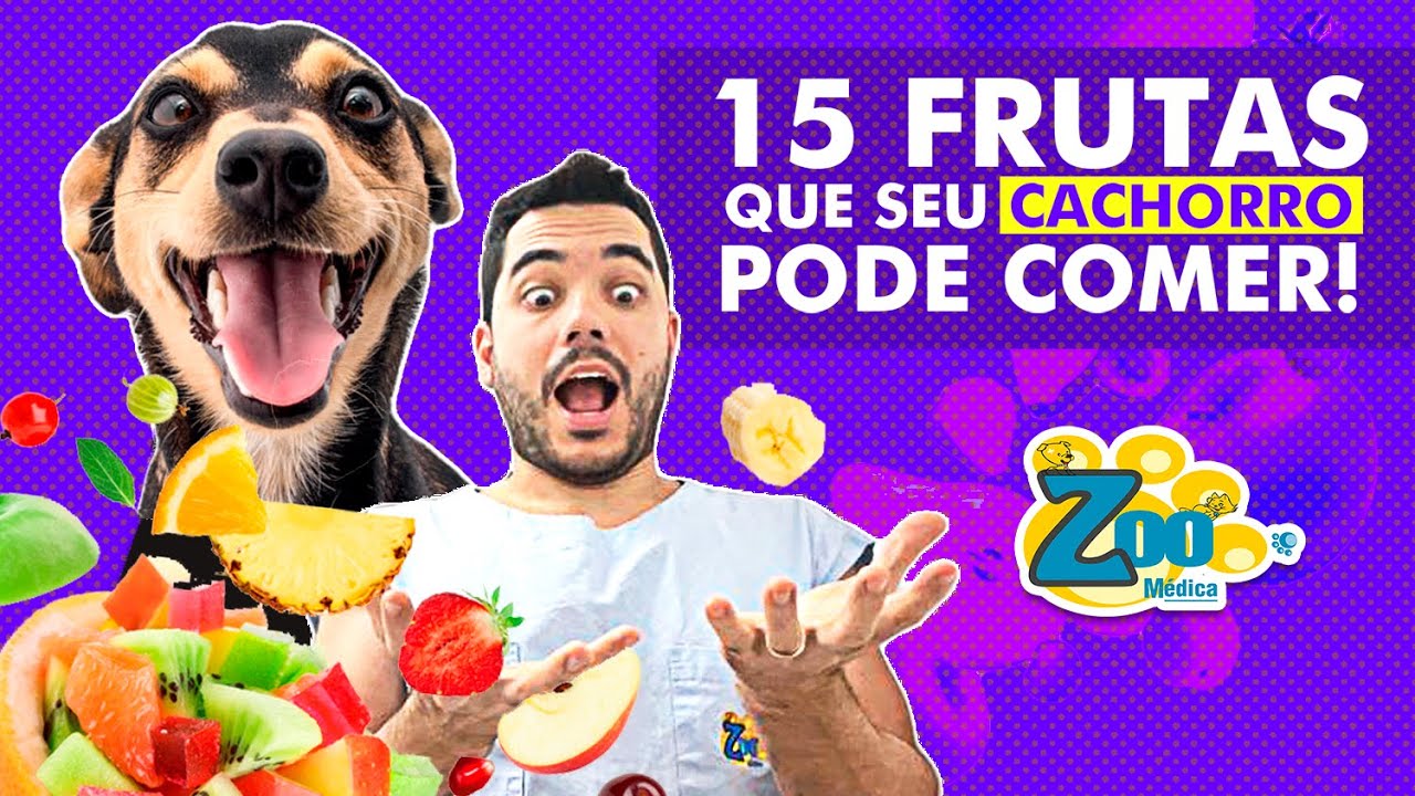 APRENDA HOJE 15 Frutas que seu Cachorro PODE COMER! Entenda os Benefícios e Como dar as Frutas!