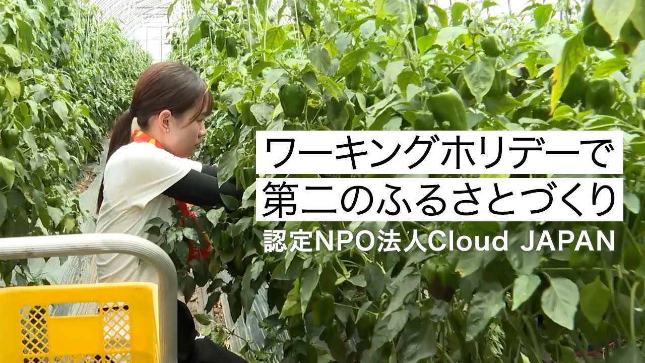 ワーキングホリデーで第二のふるさとづくり   認定NPO法人 Cloud JAPAN