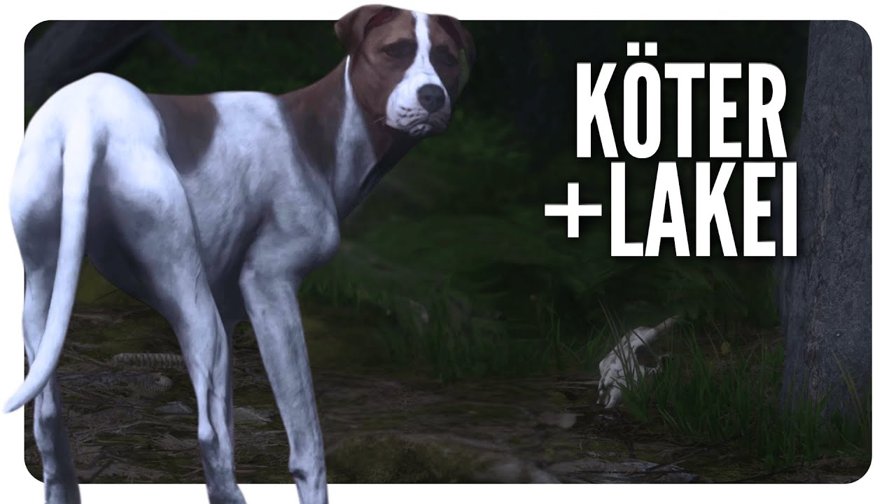 Nebenquest LP | Komplette K&ouml;ter Quest inkl. Vostateks Lakei | Kingdom Come Deliverance 2 Gameplay