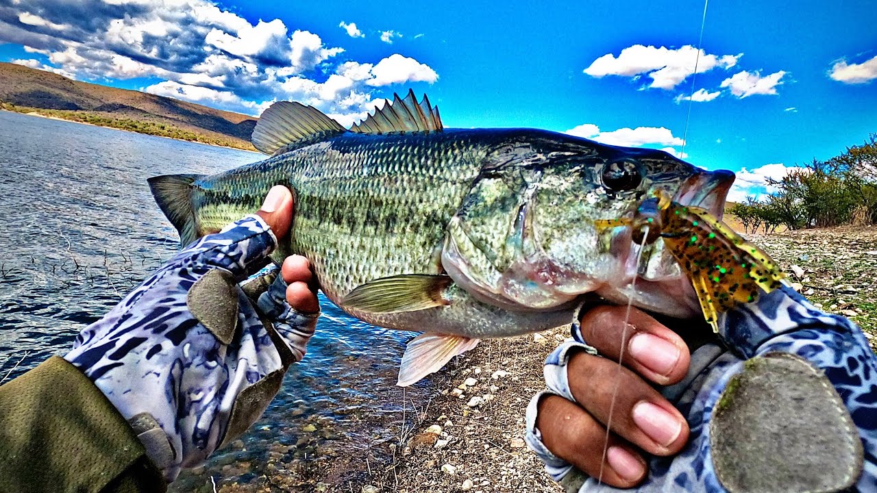 Pesca de ORILLA en INVIERNO | La importancia de la presentación del SEÑUELO