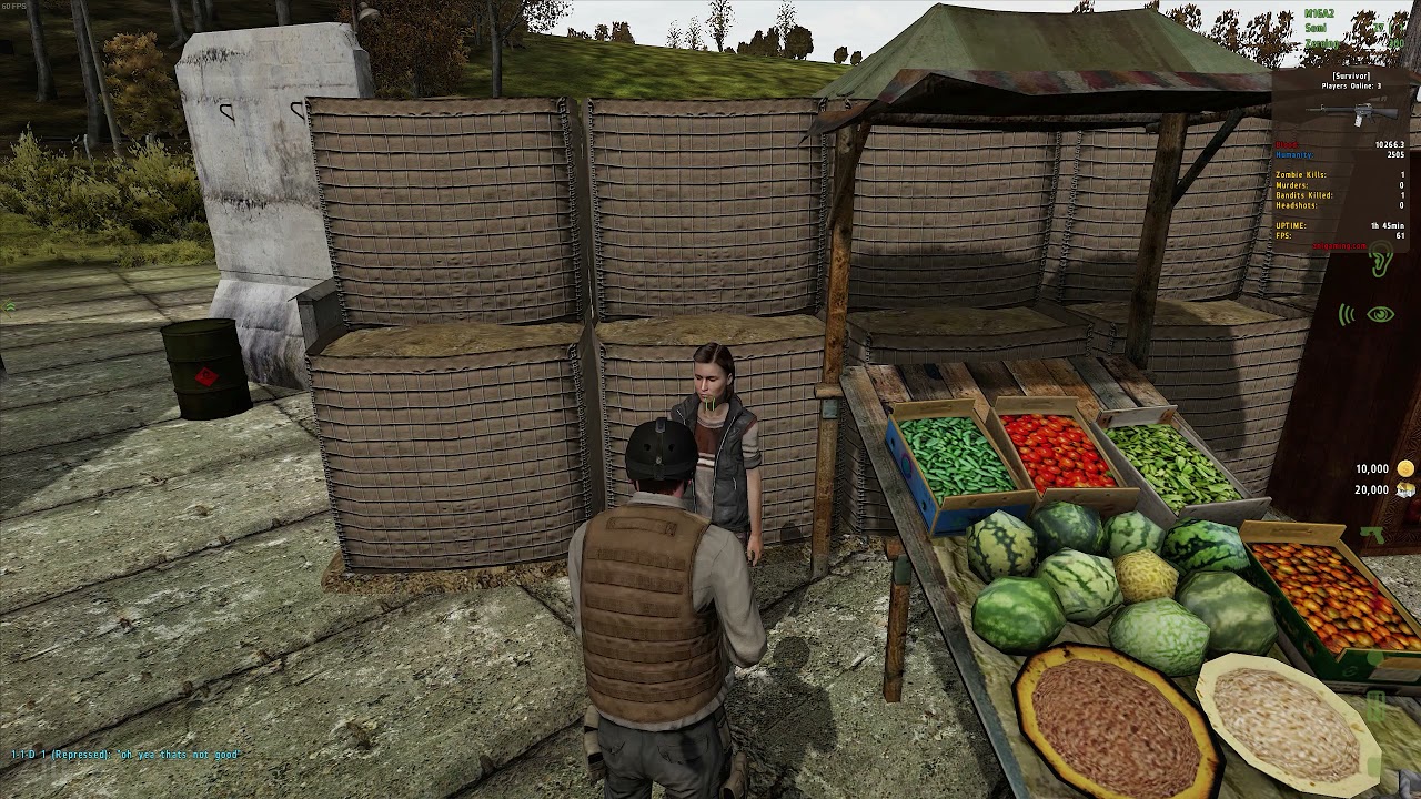 Arma 2 DayZ Epoch Mod : Episode 1 - Rookie