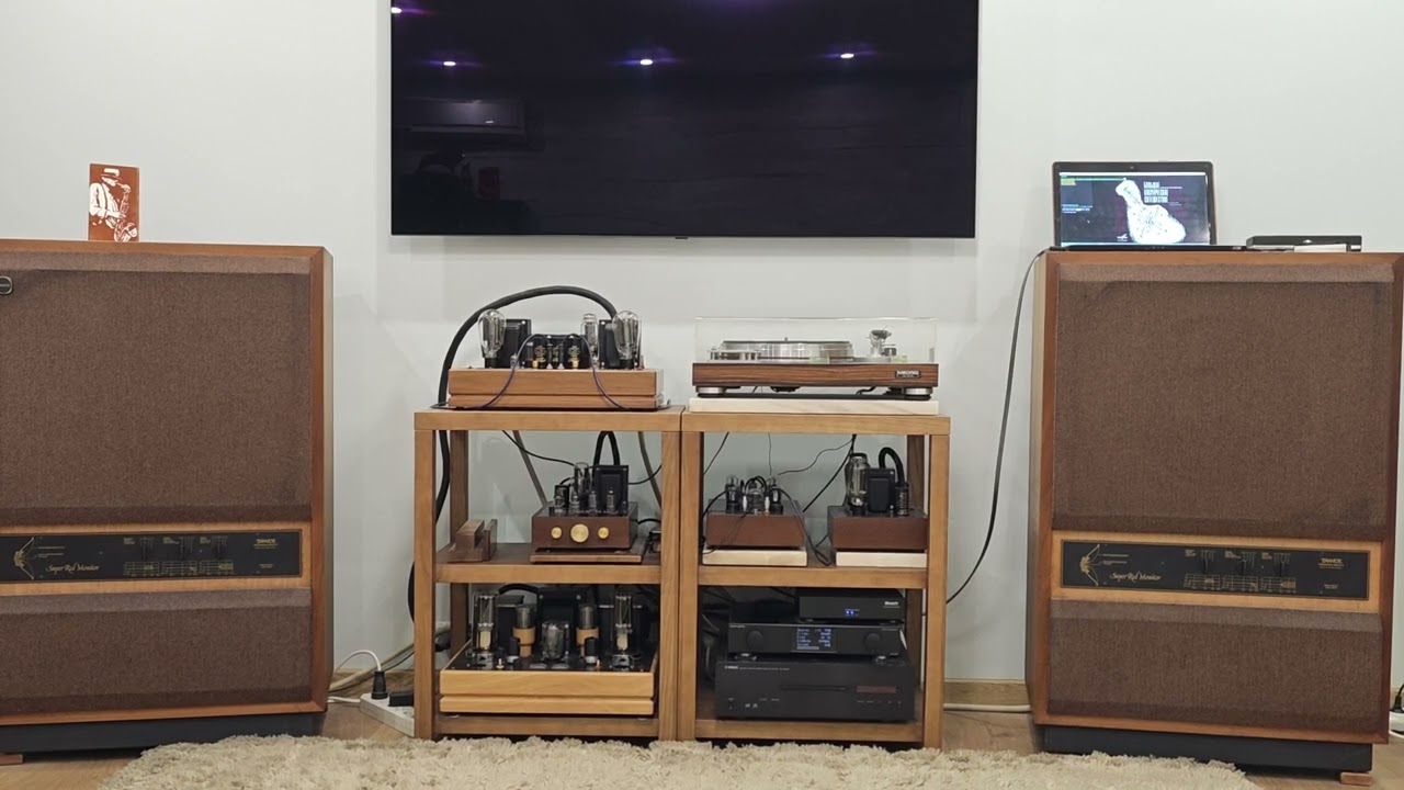 Алексей Рыбников Голубая Планета, Tannoy SRM-15,300B SE Amplifier.