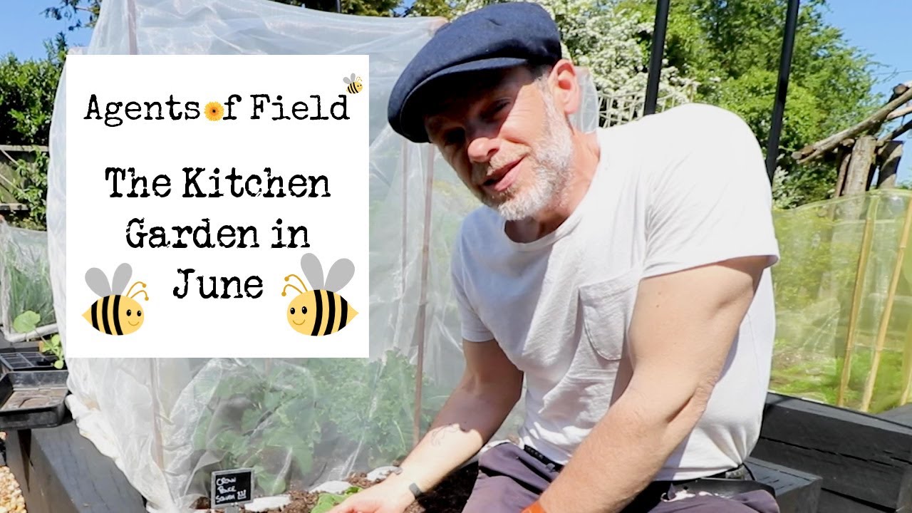 The Kitchen Garden in June