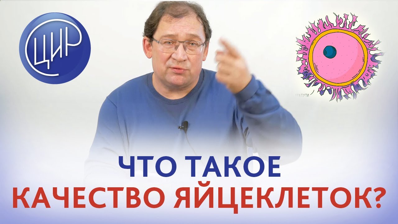 Качество яйцеклеток. Что такое качество яйцеклеток. Омоложение яичников. Донорство цитоплазмы.