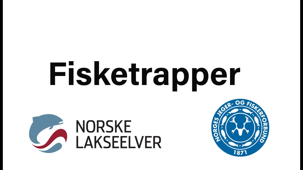 Fisketrapp