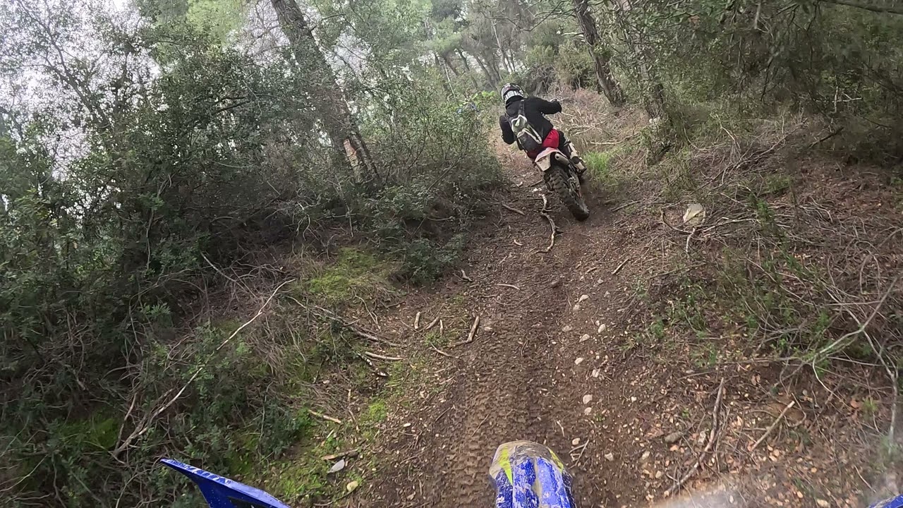Sherco-beta-ktm 22