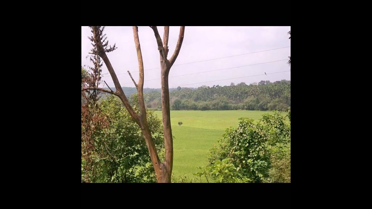 Nawayat