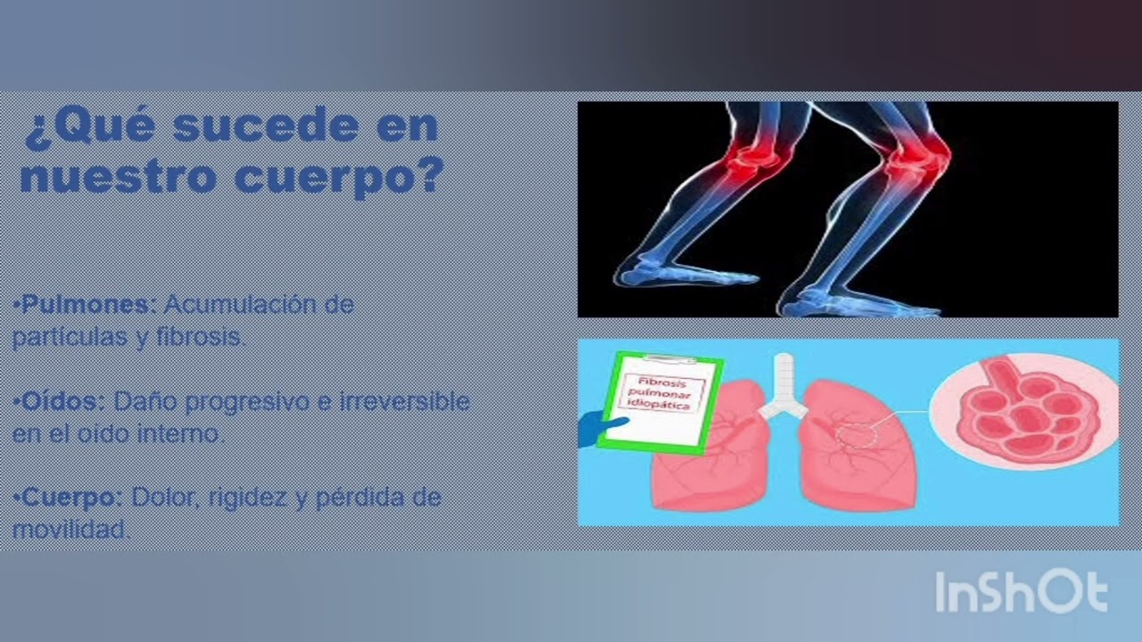 Seguridad y salud en operación de corte 