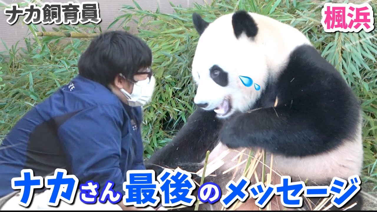 「中国へも会いに行くからね」良浜☀︎彩浜☀︎結浜☀︎楓浜へ最後に語った熱い想い🐼感謝しかない！