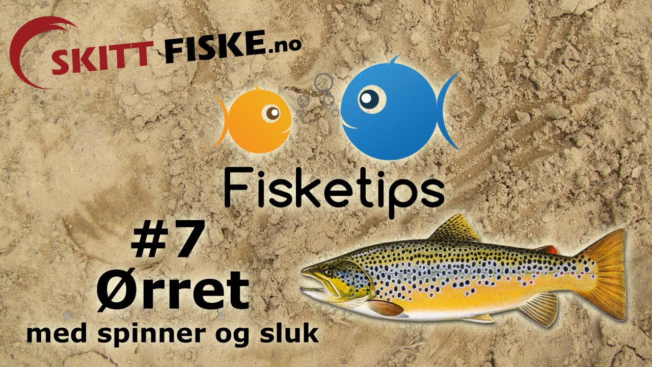 Fisketips #7 med Skitt Fiske - &Oslash;rretfiske med sluk og spinner