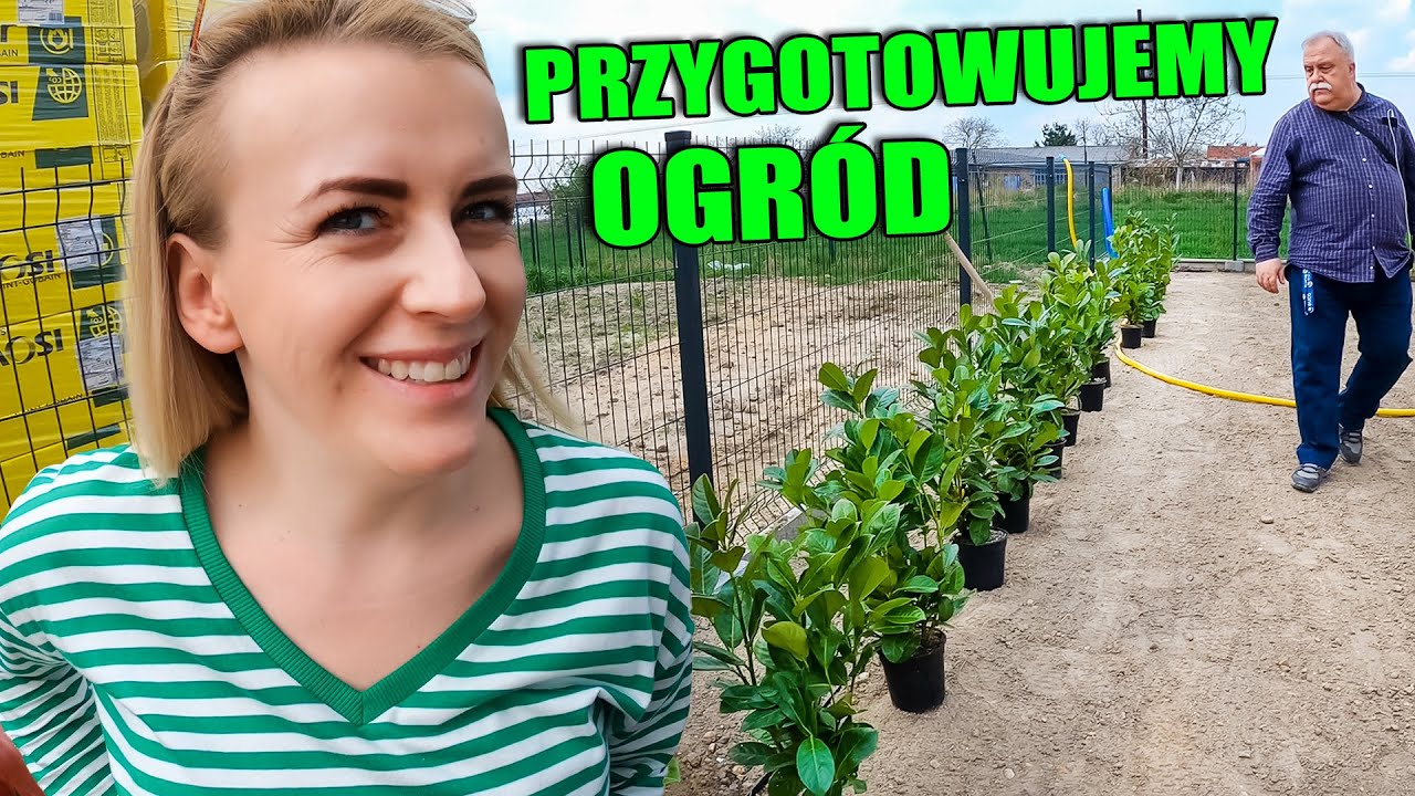 PRZYGOTOWANIE OGRODU POD TRAWĘ Z ROLKI I NASADZENIA LAUROWIŚNI.