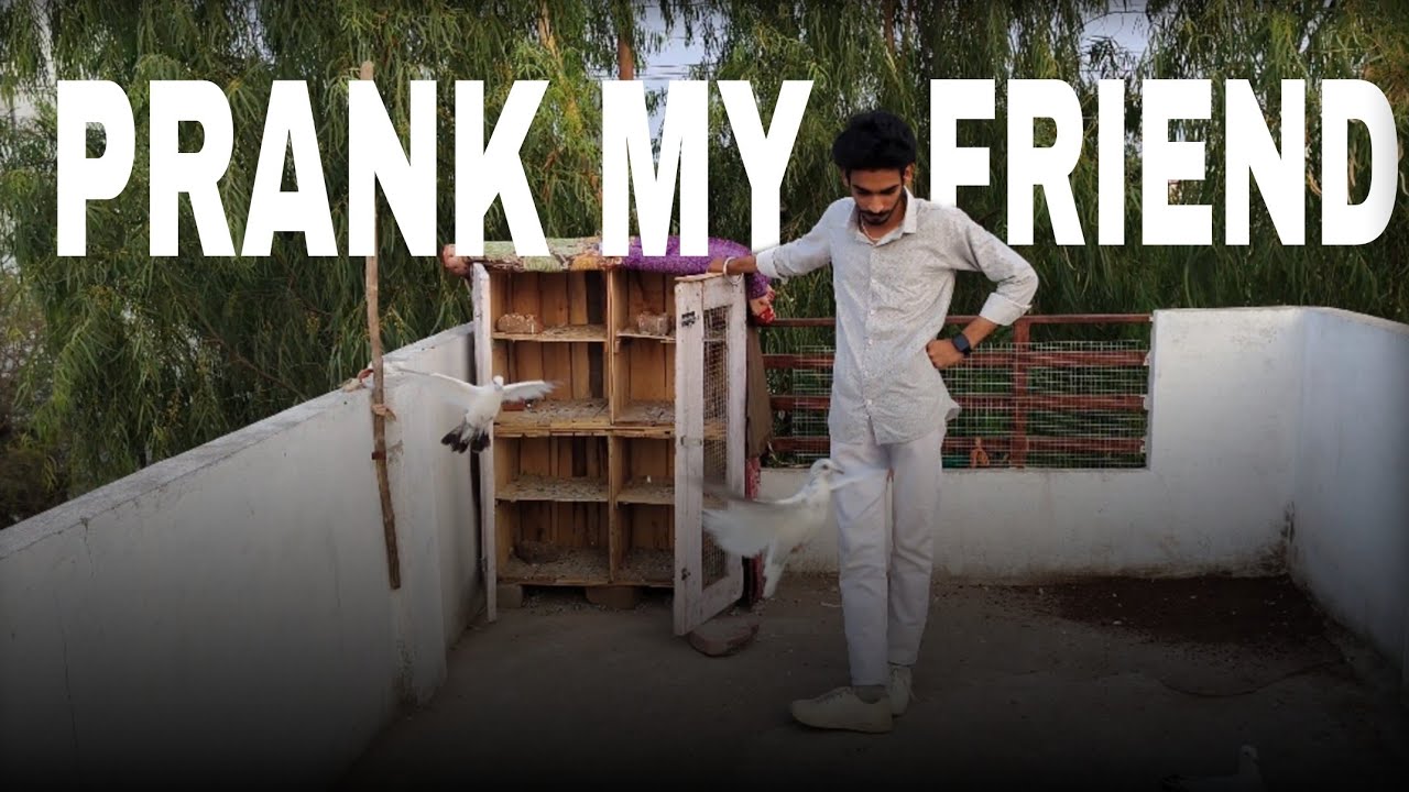 Prank My Friend 😅 @PigeonLifestyleOfflcial || Akshay Kheraj 