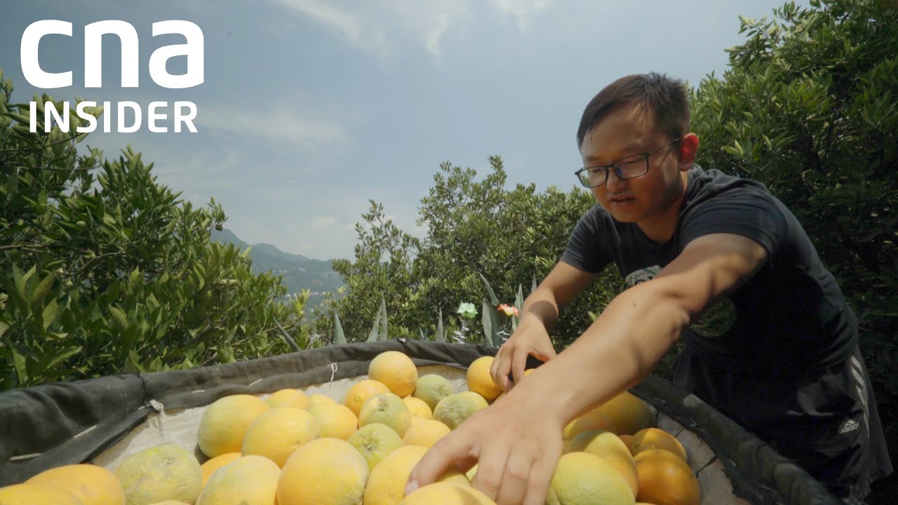 Sustainable development in China | | A Billion Chinese Dreams | Part 4/4