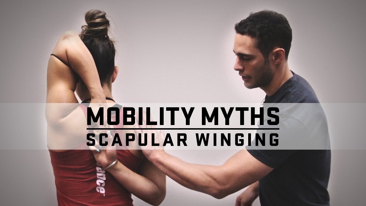 Mobility Myths with Dr. Quinn | Scapular Winging | JTSstrength.com