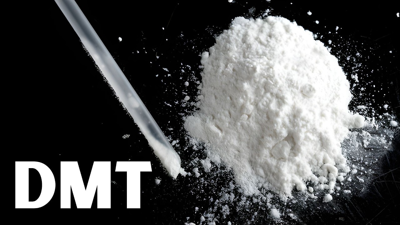 History of DMT: Why Every Religion Tried to Hide This Chemical | History for Sleep | #usa