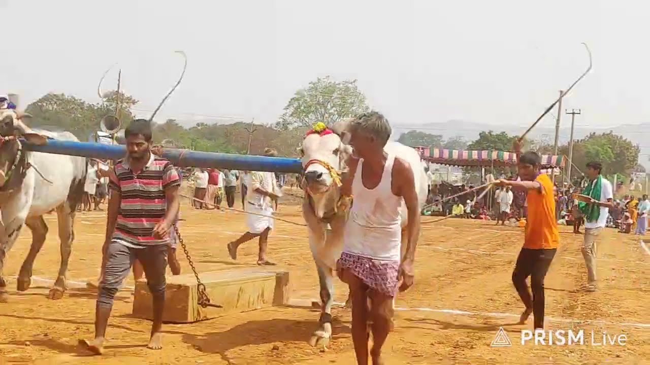 చెర్లోకొత్తూరు న్యూ క్యాటగిరి విభాగం 4వ జత నాగరాజు PR పల్లి & రామసుబ్బరెడ్డి రంగాపురం గ్రామం