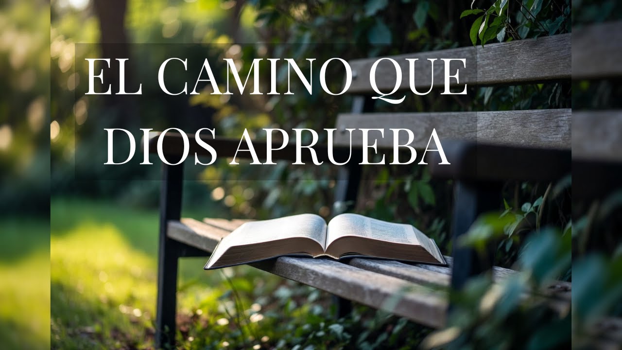 Proverbios 6 | Advertencias de Dios, diligencia y el camino de la sabiduría | Luz en la Palabra