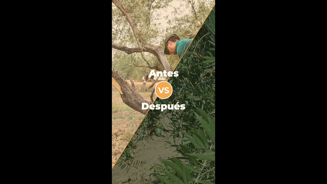 ANTES Y DESPUÉS - 