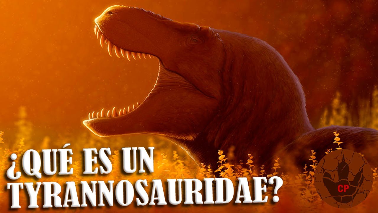 ¿QUÉ ES UN TYRANNOSAURIDAE?