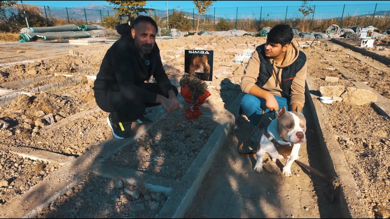 We went to Tau and Simba's grave in the pet cemetery.