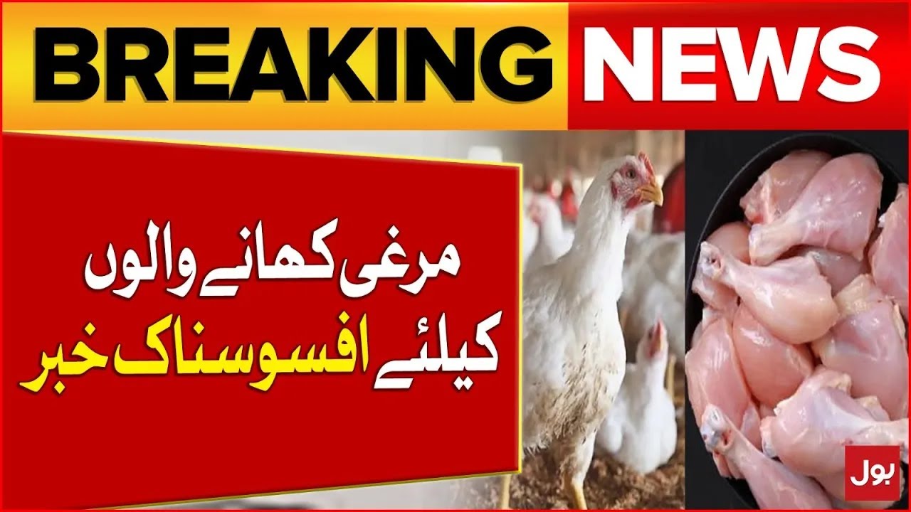 Inflation Updates | Bad News About Chicken | Latest Updates | Breaking News