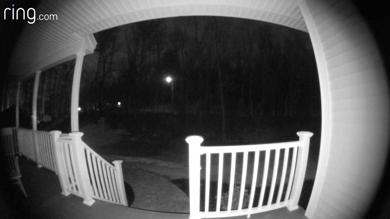 Easter bunny caught on camera