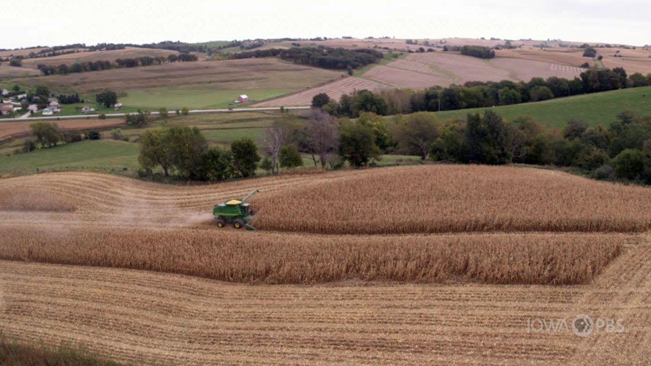 Agriculture in Iowa | FIND Iowa