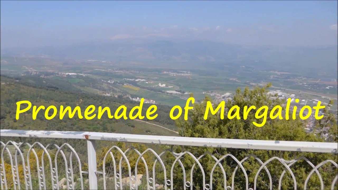 Spring in the Upper Galilee