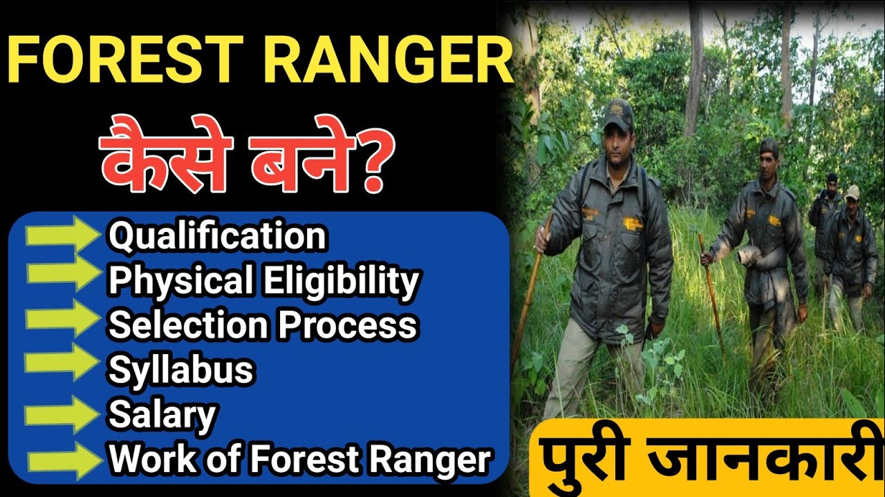 Forest Ranger Kaise Bane ।। Forest Ranger Kya Hota Hai ।। Forest Ranger Ki Salary Kitni Hoti Hai ।।
