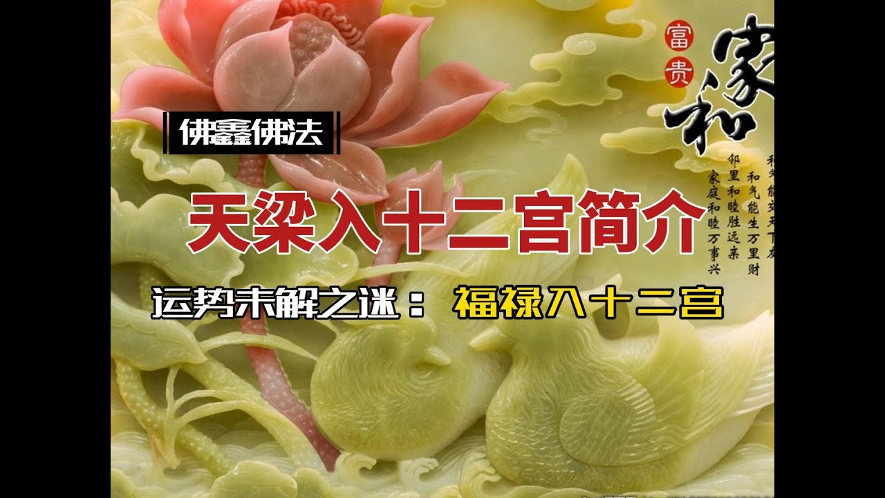 紫微斗数 案例分析 分享 ㊙️ 天梁星在十二宫 福禄寿禧 福气 运气 福运 🧧 财富 财源 老人星 寿星 财务