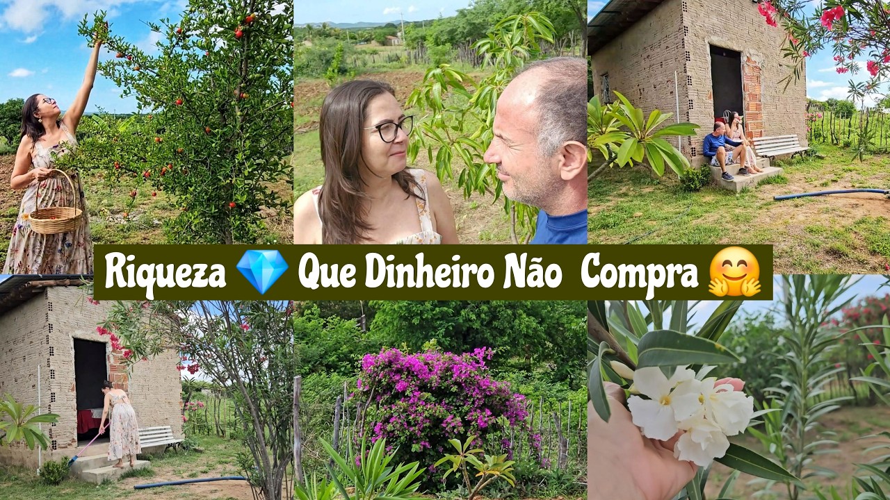 É ESSA VIDA QUE SEMPRE SONHEI , NA SIMPLICIDADE , MAIS EM PAZ