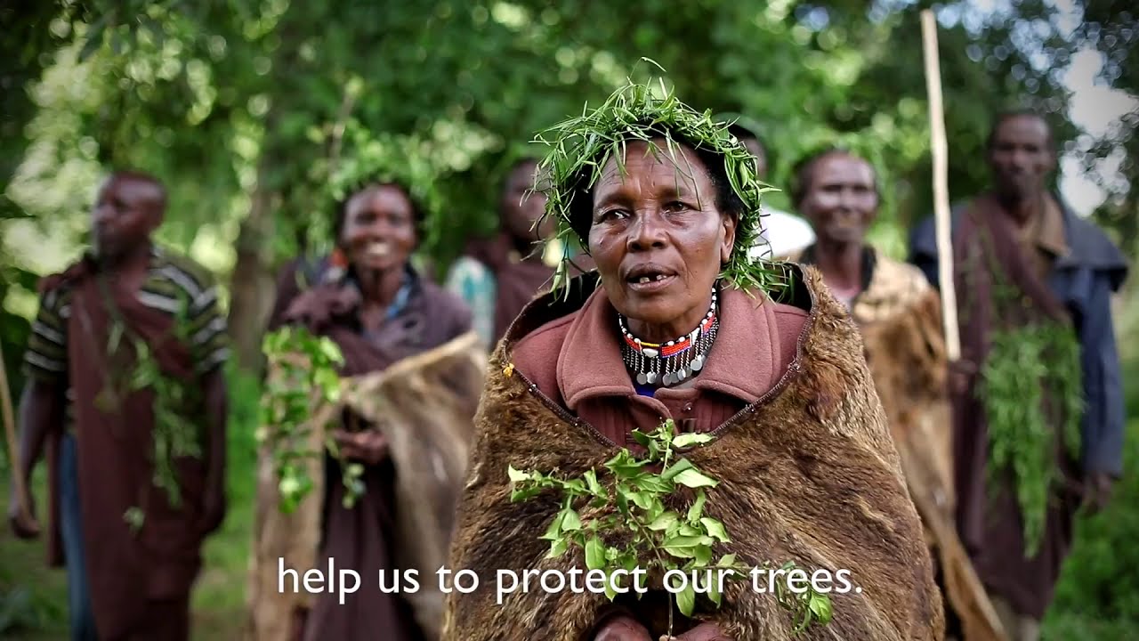 Restoring Ogiek Land Rights. A Story of Unity and Resilience