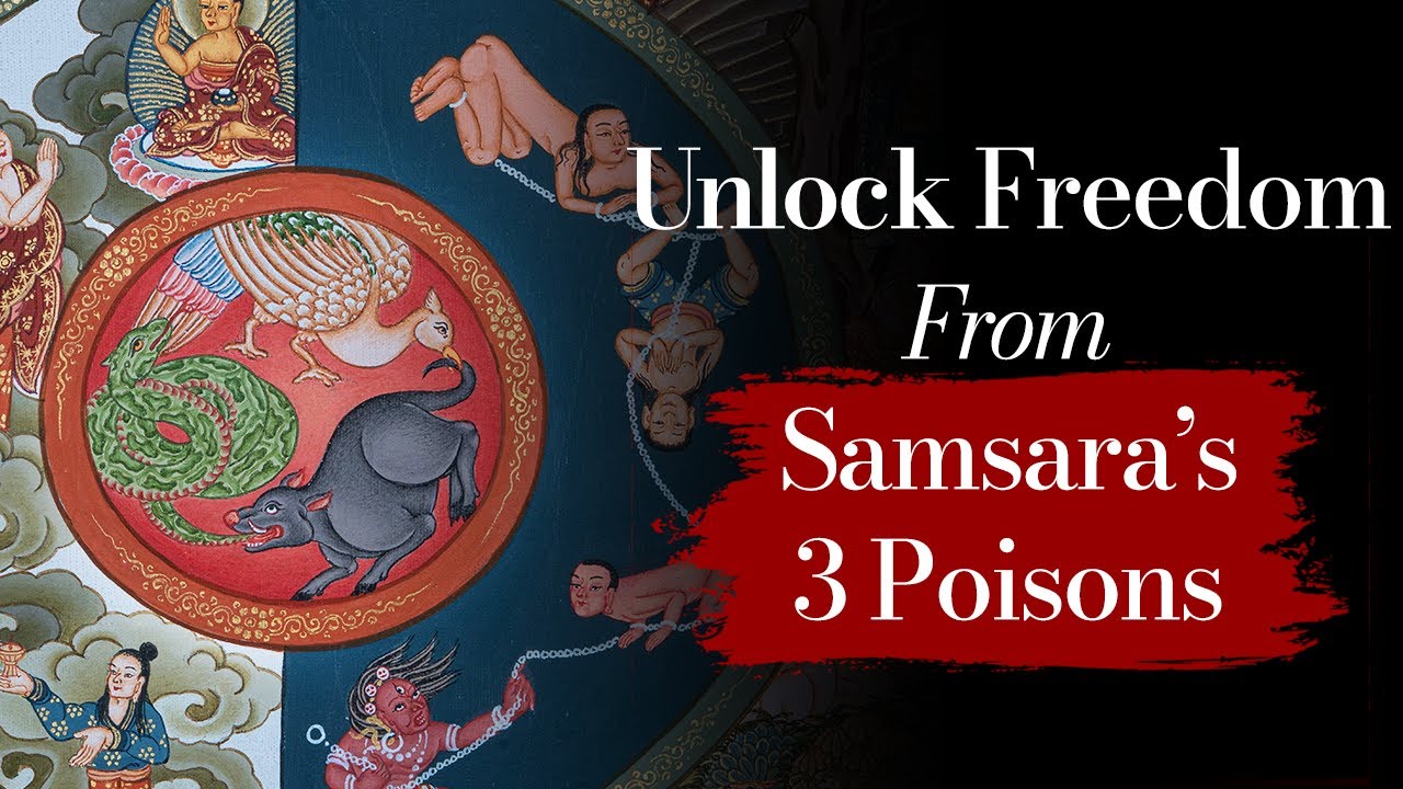 Are You Trapped in Samsara? Unlock the Secrets to Overcoming the Three Poisons