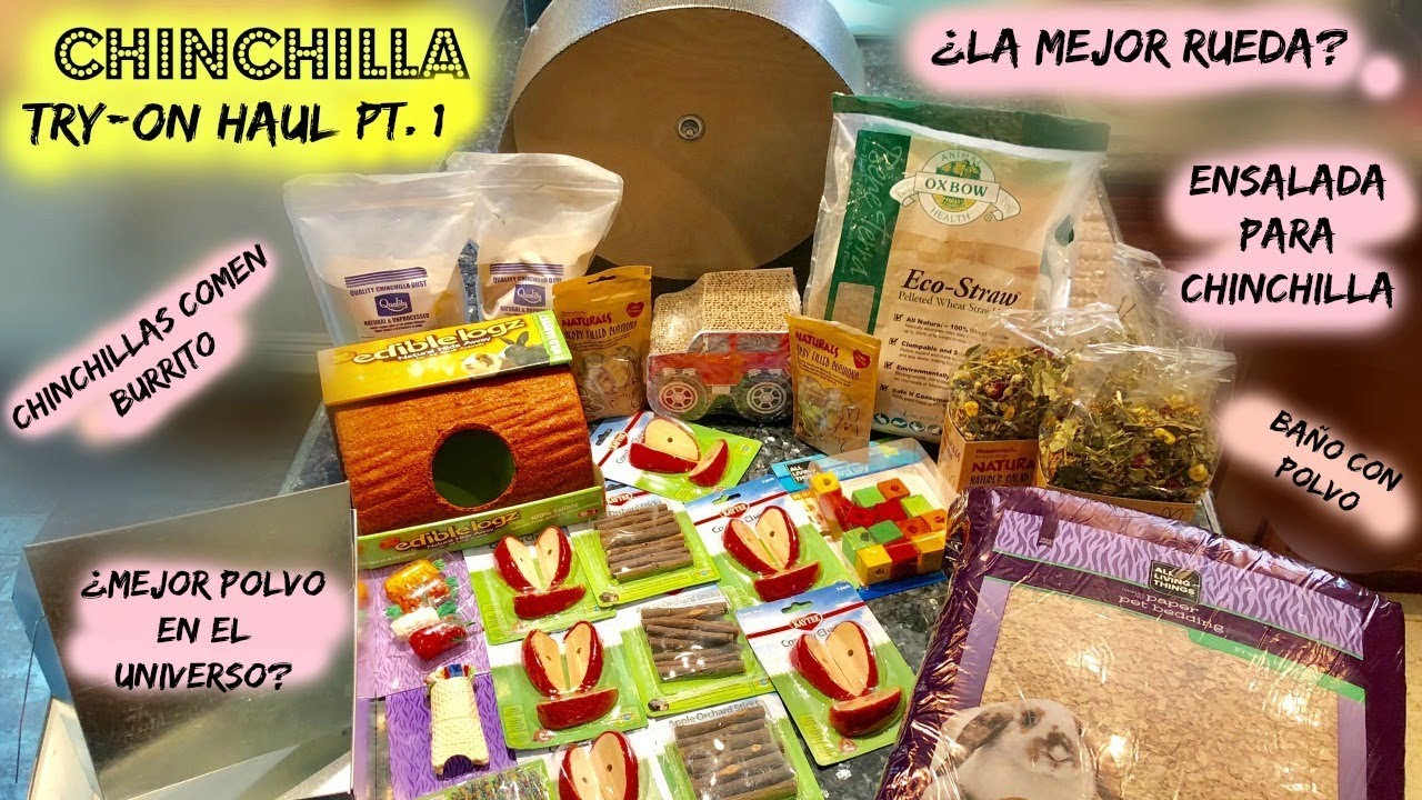 Haul de Chinchillas Try-On | Nueva Rueda | Baño de Polvo | Nenimals