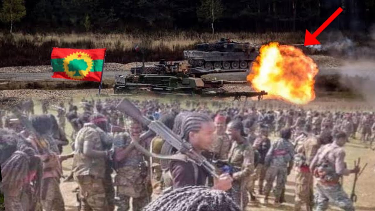 ODUU Hatattama Injifannoo WBO kuno@Moha Media