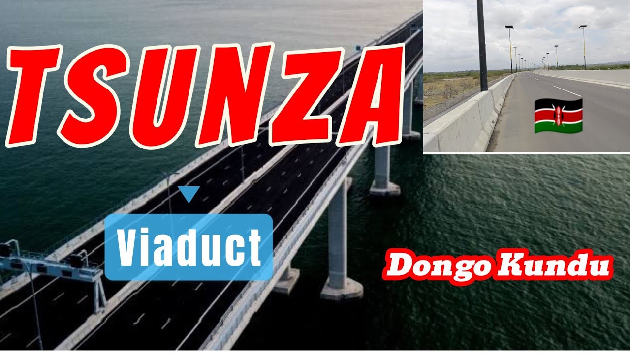 Tsunza Viaduct | Dongo Kundu | #latestupdates #construction #travel #kenya #kwale #mombasa #bridge