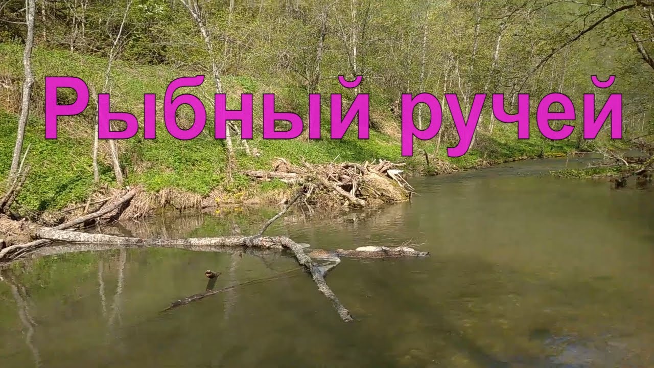 Ловля ручьевой форели в мае спиннингом.