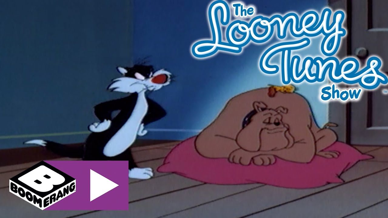 Sylvester & Tweety | Otel Odası | Boomerang