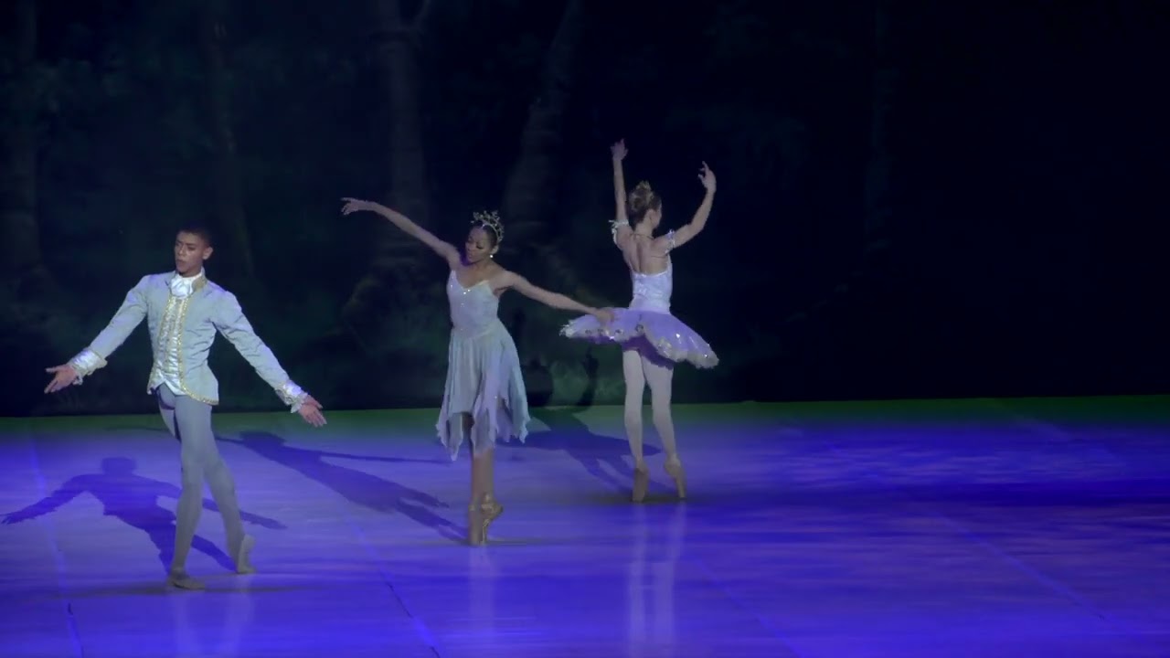 Sleeping Beauty Joburg Ballet Opening night   28/06/2024