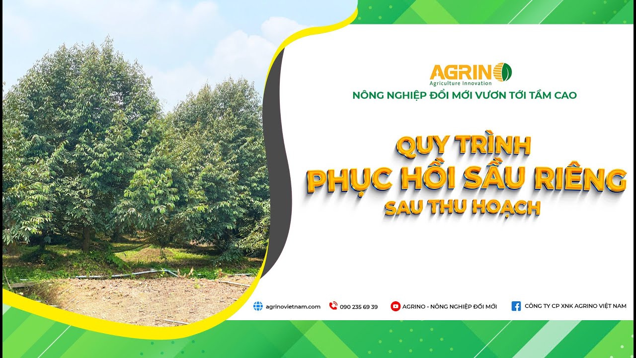 Agrino | Tập 1: Giải pháp phục hồi sầu riêng sau thu hoạch | Giải pháp hiệu quả cho cây sầu riêng