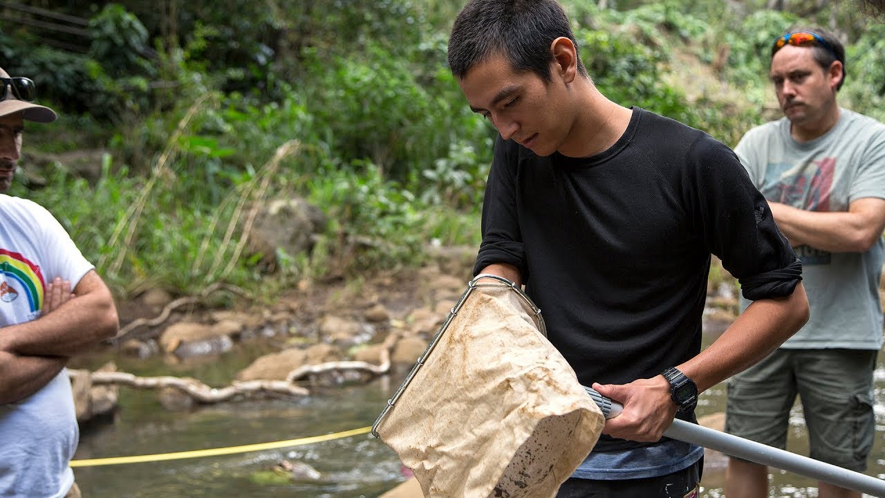 Trailblazing microbiome research receives $1M W.M. Keck Foundation grant